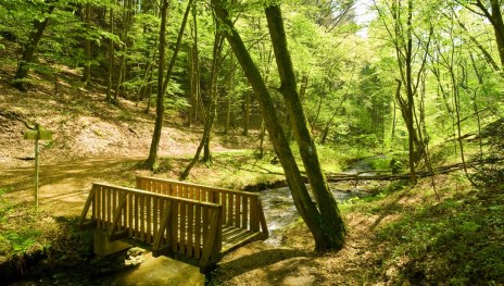 Völkerwiesenbach | © Dominik Ketz, Rheinland-Pfalz Tourismus GmbH