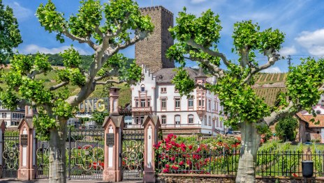 Boosenburg in Rüdesheim | © Rüdesheim Tourist AG Marlis Steinmetz