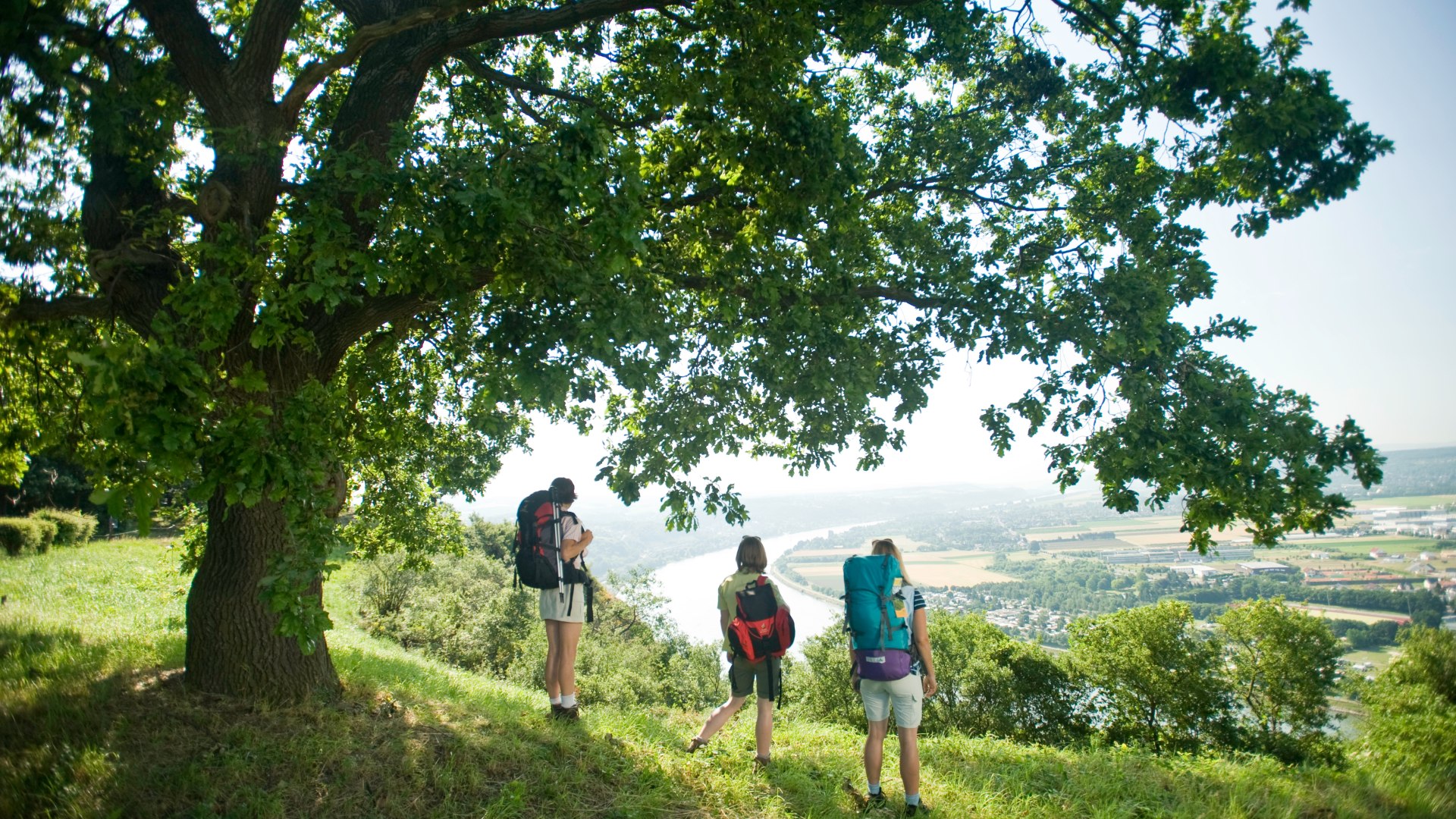 Wanderinnen genießen die Aussicht | © Dominik Ketz / Rheinland-Pfalz Tourismus GmbH