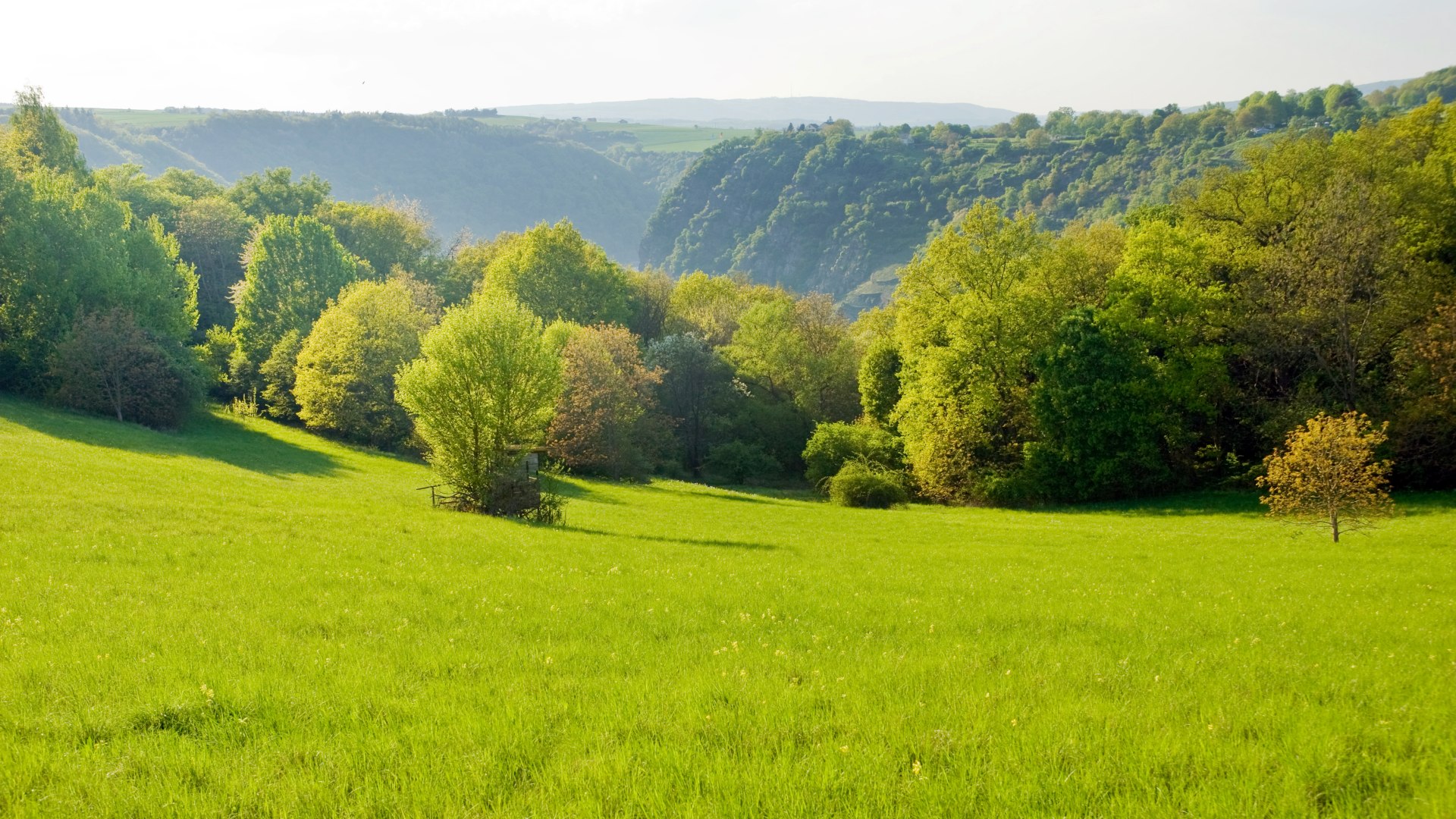 Leiselfeld | © Dominik Ketz / Rheinland-Pfalz Tourismus GmbH