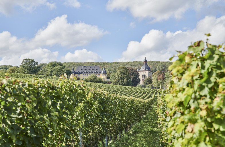 Schloss Vollrads Weinberge | © Hessen Tourismus, Roman Knie