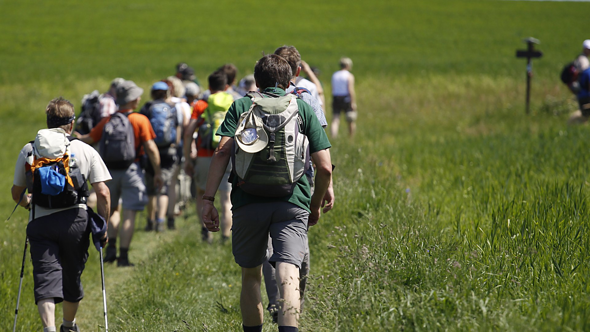 Hiking group on the Rheinsteig | © Wolfgang Blum