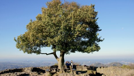 Ruine Löwenburg | © Friedrich Gier, Romantischer Rhein Tourismus GmbH