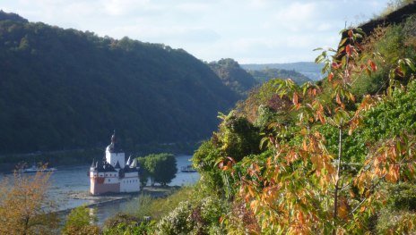 Burg Pfalzgrafenstein | © Jens Niemeyer, Romantischer Rhein Tourismus GmbH