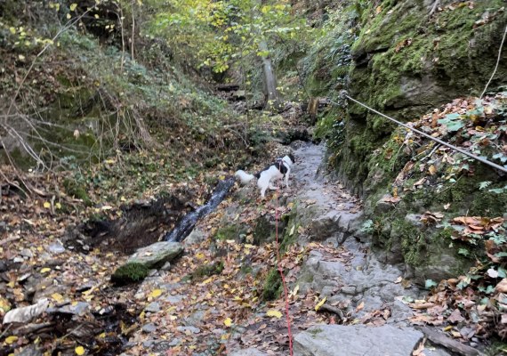 Ruppertsklamm Lahnstein 3 | © Stadt Lahnstein