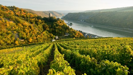 Blick auf Burg Pfalzgrafenstein | © Dominik Ketz