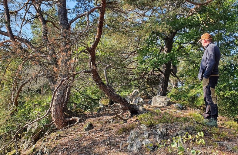 Wanderwarte am Kleinmödersnack | © T. Biersch